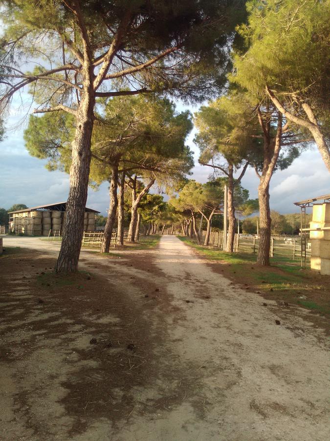 Biocampus La Roccaccia - Universita' Agraria Di Tarquinia Exterior foto