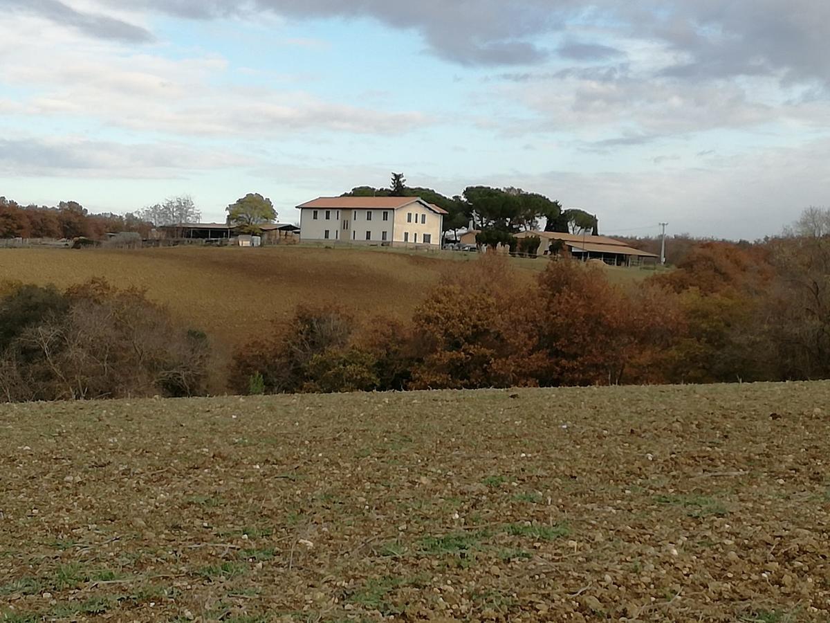 Biocampus La Roccaccia - Universita' Agraria Di Tarquinia Exterior foto